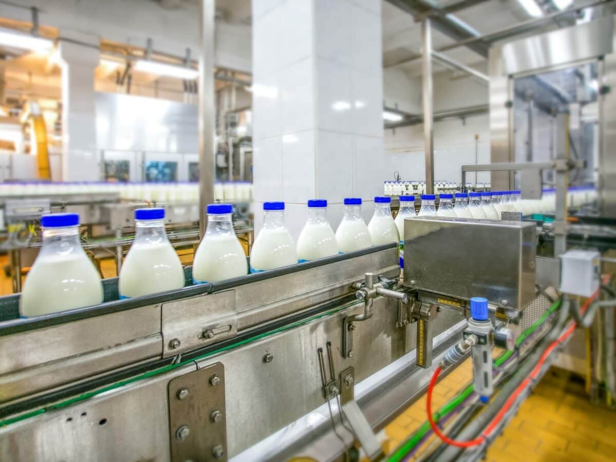 milcobel industry - Déhora Consultancy