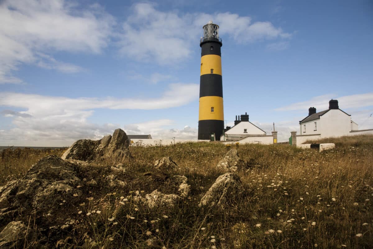 Forecasting als baken voor een stabiele personeelsplanning.